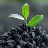 Premium Agricultural Biochar 20 kg